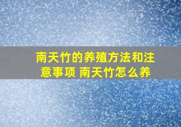 南天竹的养殖方法和注意事项 南天竹怎么养